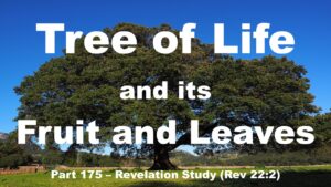 Tree of Life - Symbolic Meaning - The Rock of Offence - Jesus Christ
